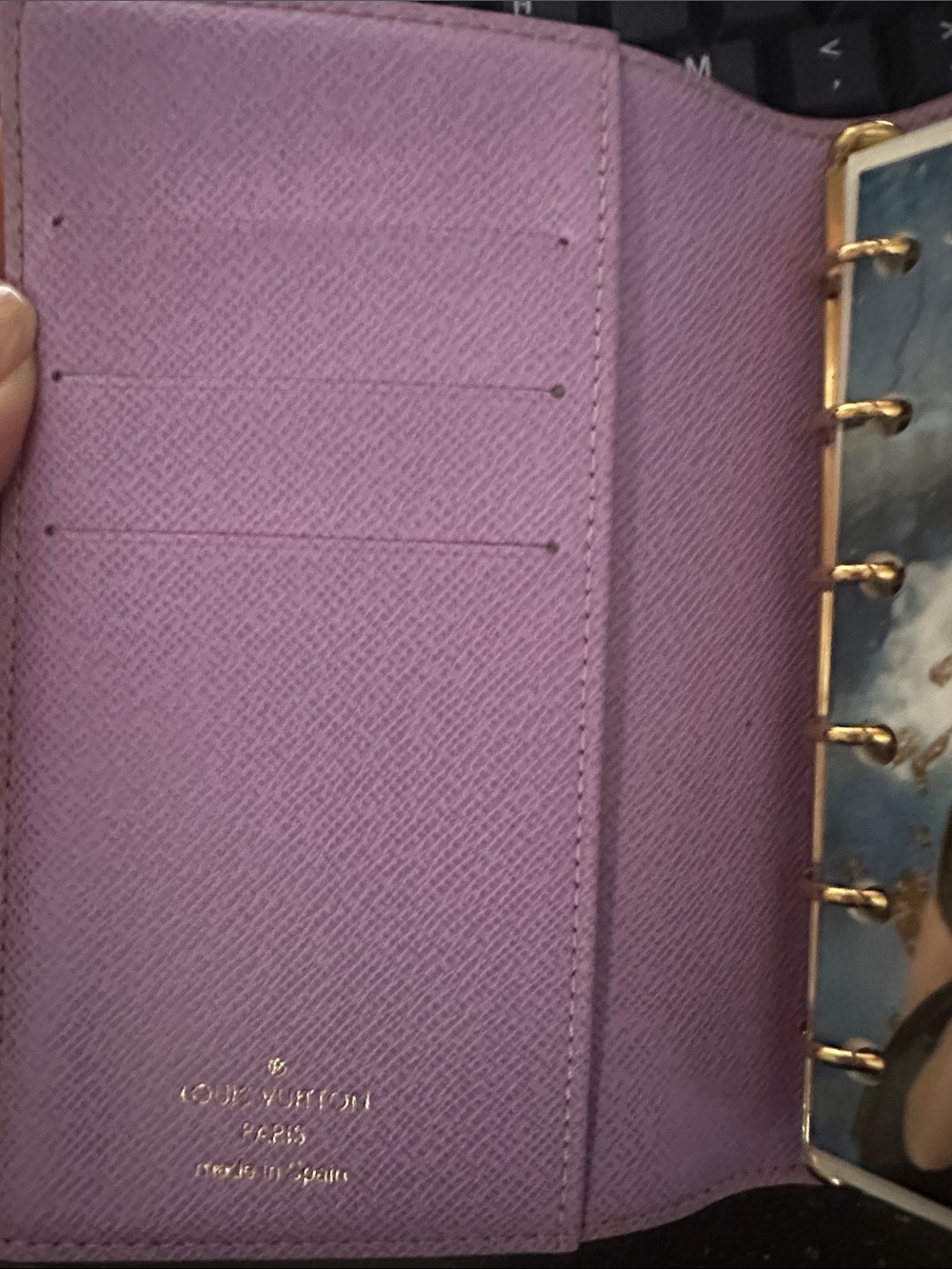 Louis Vuitton Brown Damier Ebene Illustrated Small Agenda Cover - Picture 5 of 9